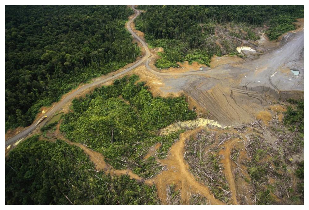 Logging erosion in lowland tropical rainforest across the broad flood plain of Aird River, Kikori Basin, Papua New Guinea-Paper Art-62"x42"