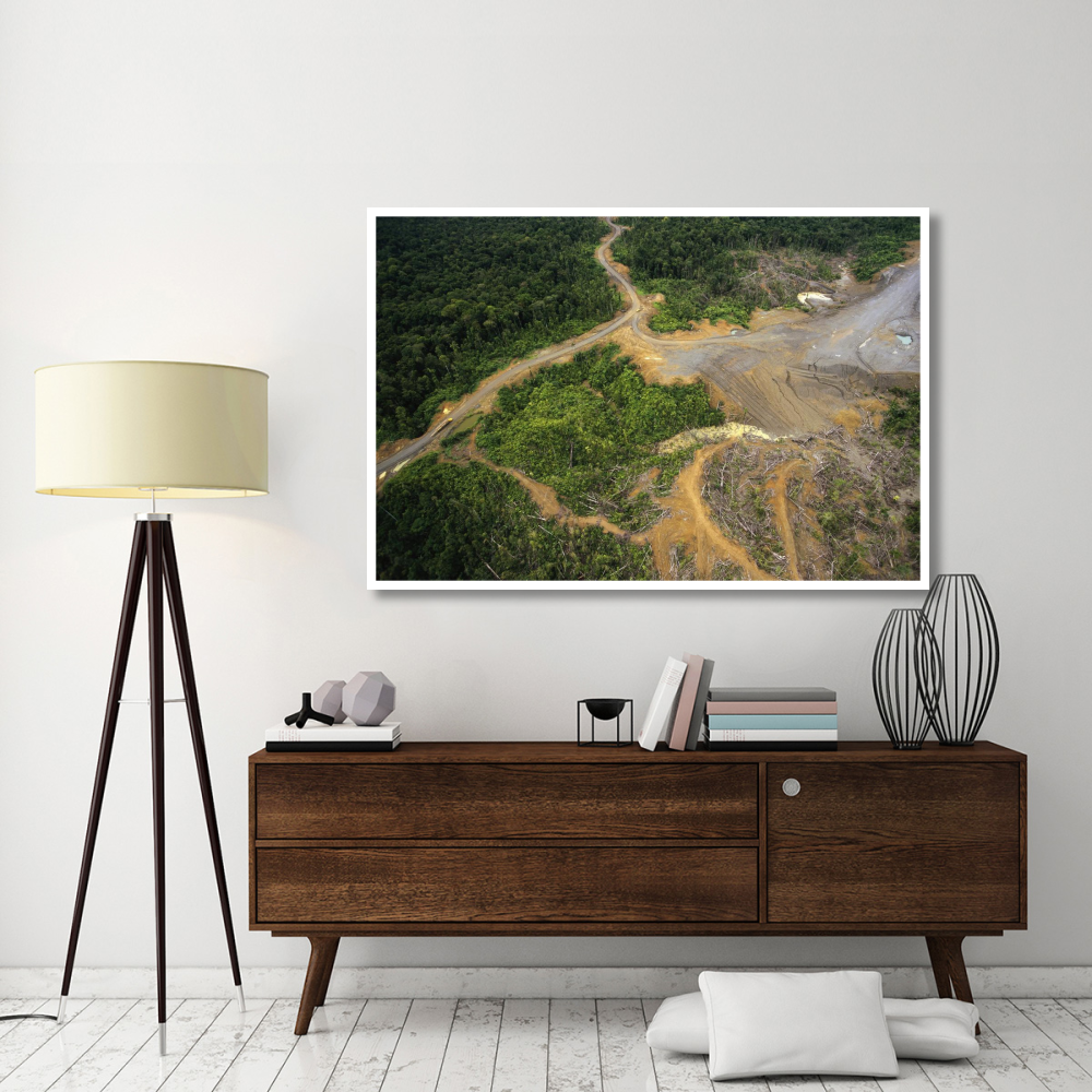 Logging erosion in lowland tropical rainforest across the broad flood plain of Aird River, Kikori Basin, Papua New Guinea-Paper Art-62&quotx42"