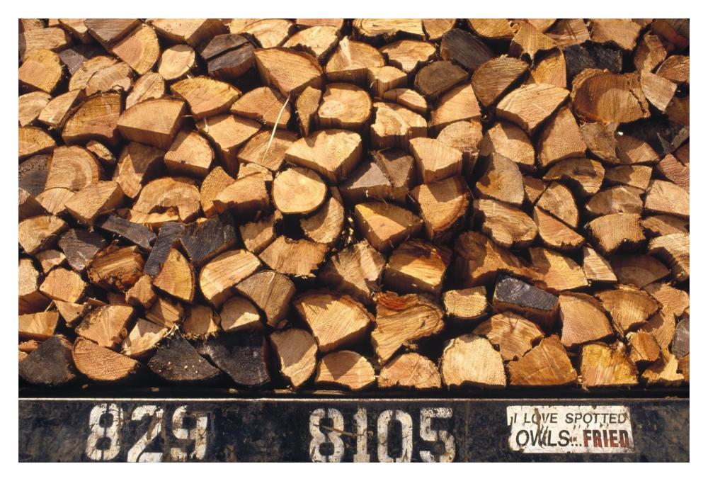 Firewood hauled from clearcut on truck bed with 'I Love Spotted Owls, Fried' bumper sticker, Suislaw National Forest, Oregon-Paper Art-20"x14"