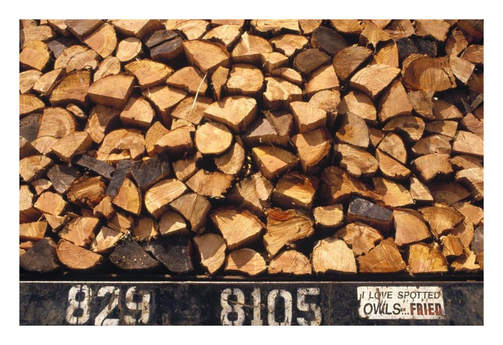 Firewood hauled from clearcut on truck bed with 'I Love Spotted Owls, Fried' bumper sticker, Suislaw National Forest, Oregon-Paper Art-26"x18"