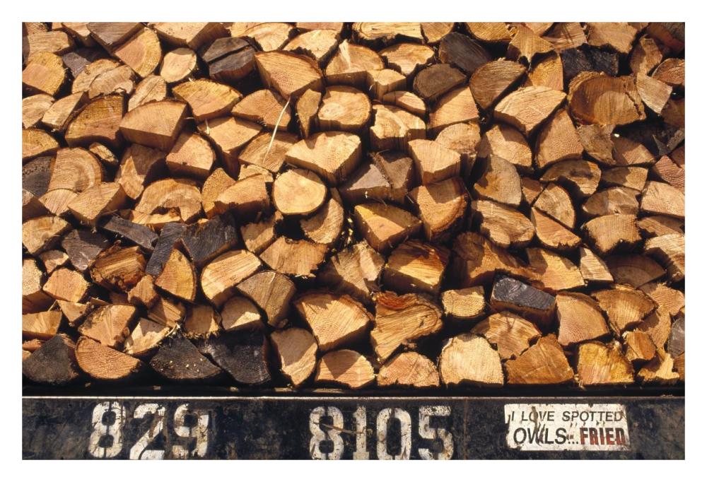 Firewood hauled from clearcut on truck bed with 'I Love Spotted Owls, Fried' bumper sticker, Suislaw National Forest, Oregon-Paper Art-32"x22"