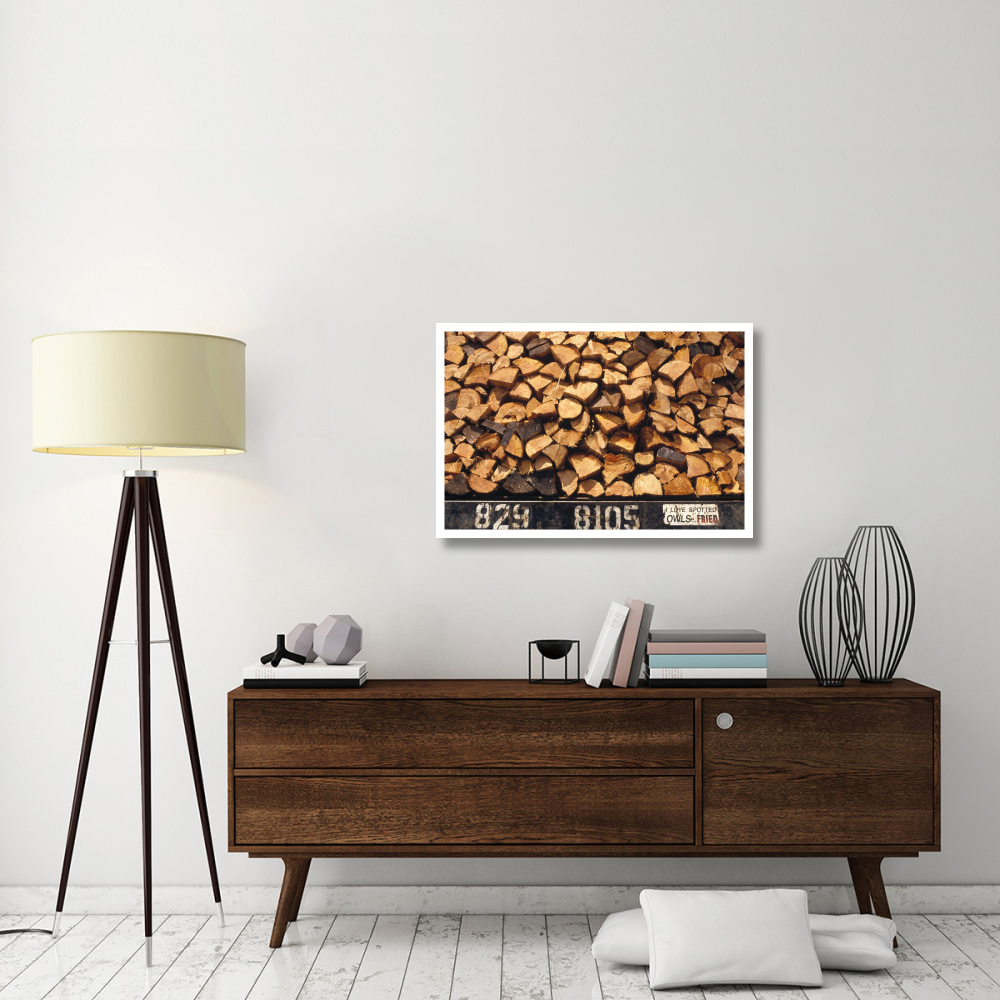 Firewood hauled from clearcut on truck bed with 'I Love Spotted Owls, Fried' bumper sticker, Suislaw National Forest, Oregon-Paper Art-38&quotx26"