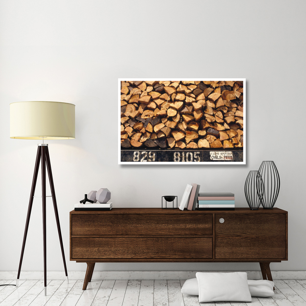 Firewood hauled from clearcut on truck bed with 'I Love Spotted Owls, Fried' bumper sticker, Suislaw National Forest, Oregon-Paper Art-50&quotx34"