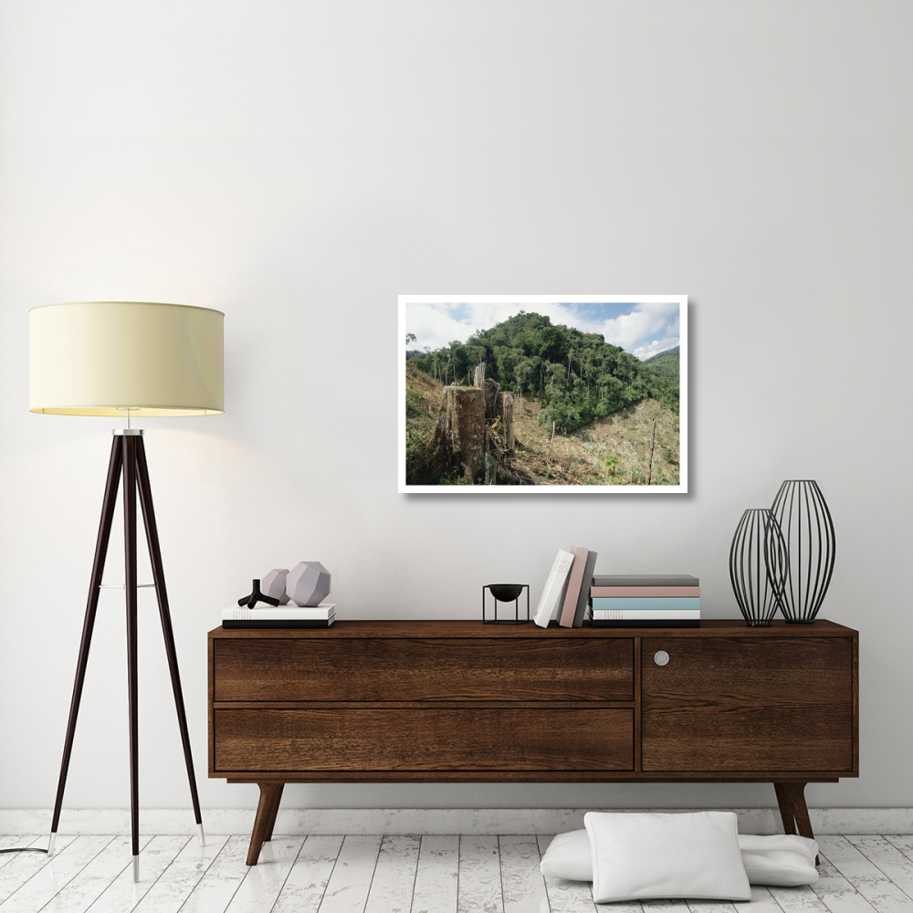 Deforested hillside of wet montane rainforest near Los Cedros Biological Reserve, Choco Phytogeographic region, northwest Ecuador-Paper Art-38&quotx26"