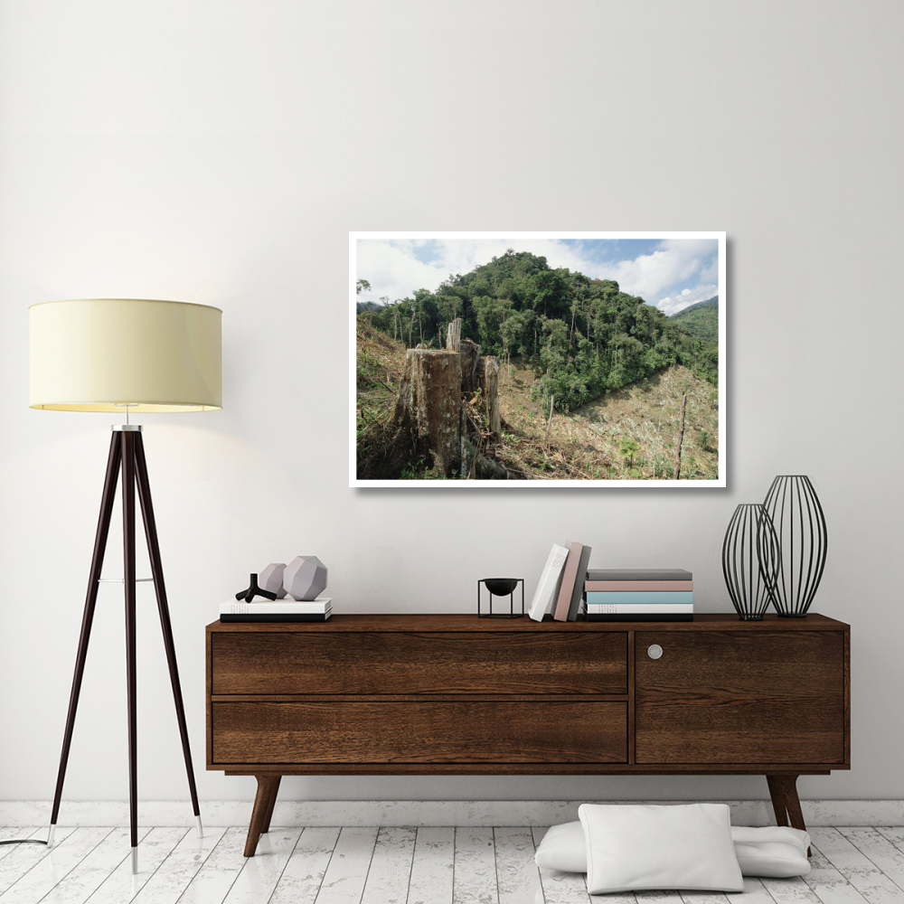 Deforested hillside of wet montane rainforest near Los Cedros Biological Reserve, Choco Phytogeographic region, northwest Ecuador-Paper Art-50&quotx34"