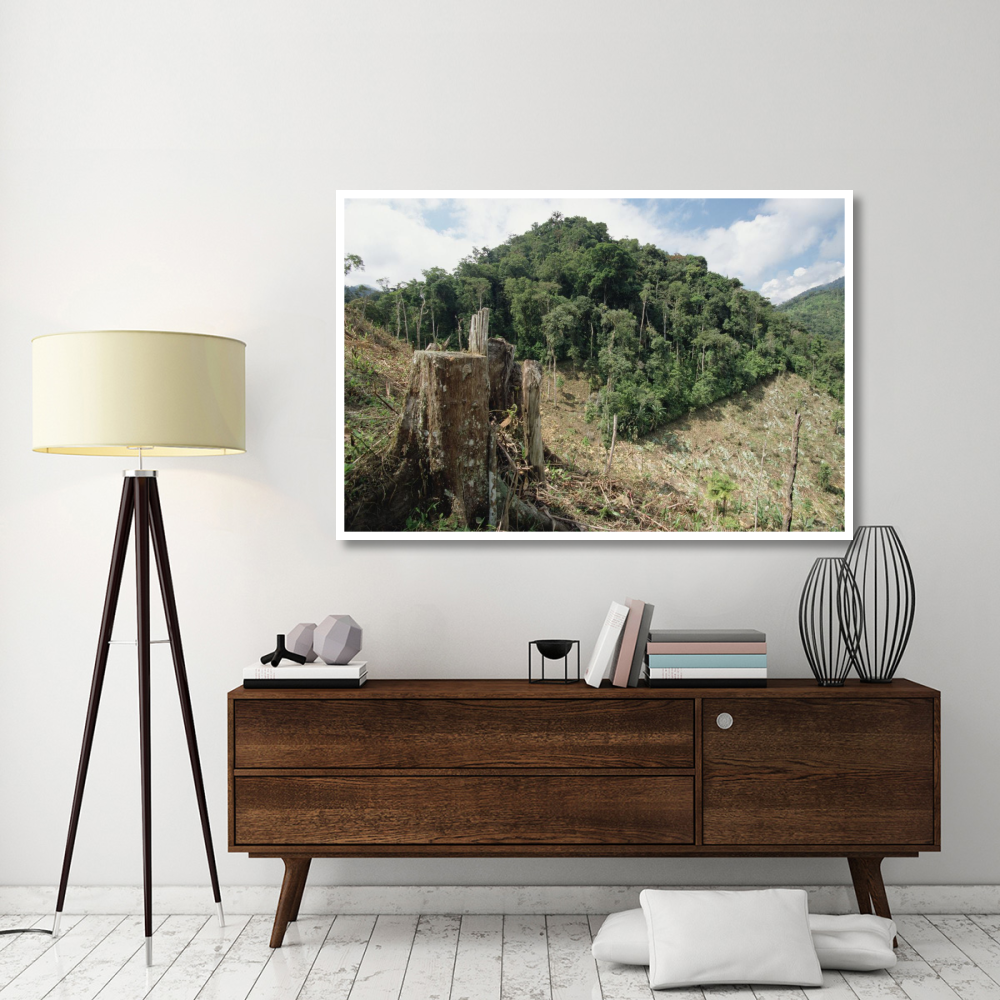 Deforested hillside of wet montane rainforest near Los Cedros Biological Reserve, Choco Phytogeographic region, northwest Ecuador-Paper Art-62&quotx42"