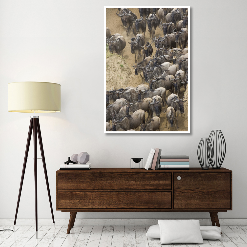 Blue Wildebeest herd approaching the Mara River, Masai Mara National Reserve, Kenya-Paper Art-42&quotx62"