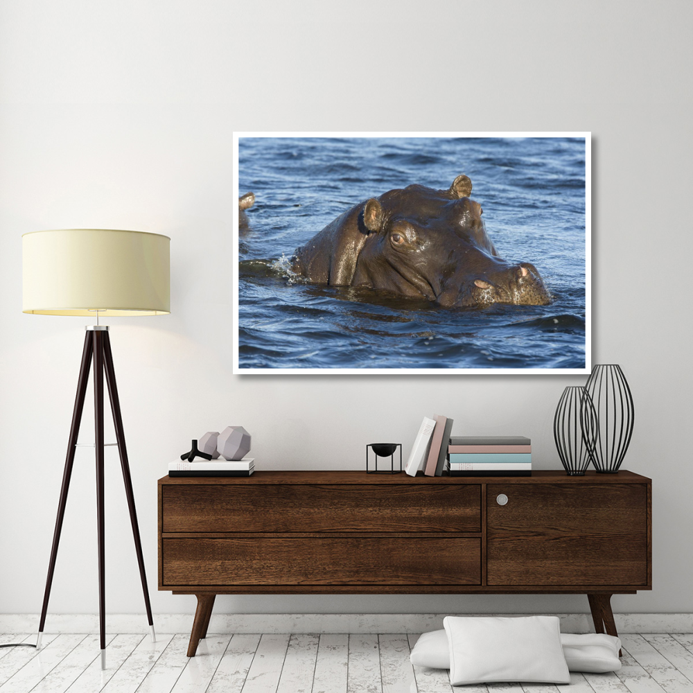 Hippopotamus, northern Botswana-Paper Art-62&quotx42"
