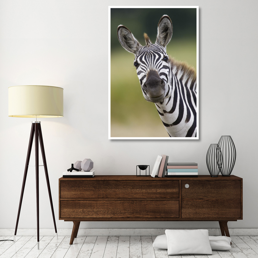 Burchell's Zebra portrait, Masai Mara, Kenya-Paper Art-42&quotx62"