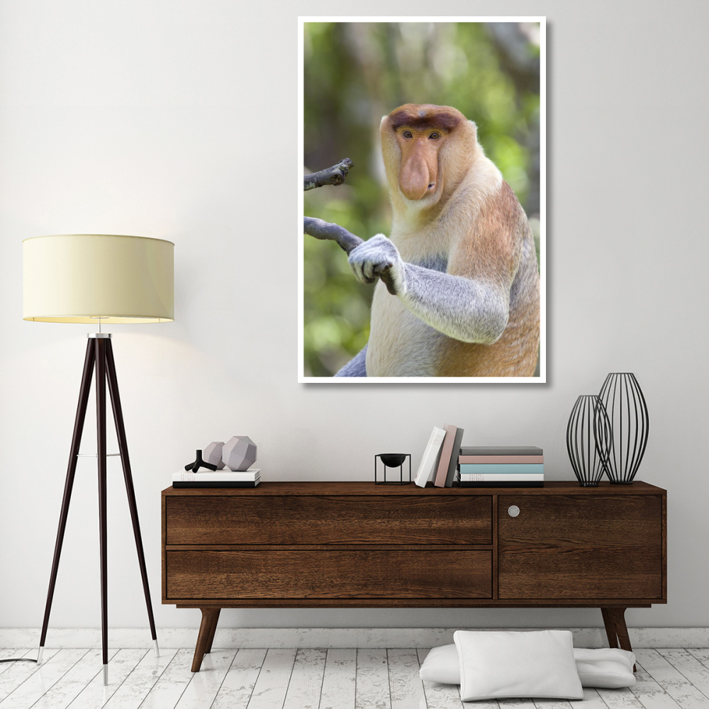 Proboscis Monkey dominant male, Sabah, Malaysia-Paper Art-42&quotx62"