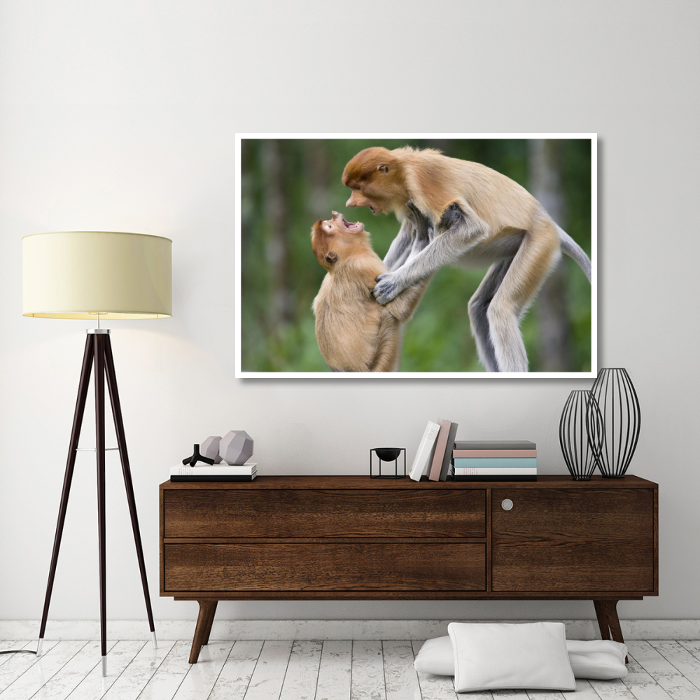 Proboscis Monkey juveniles playing, Sabah, Malaysia-Paper Art-62&quotx42"