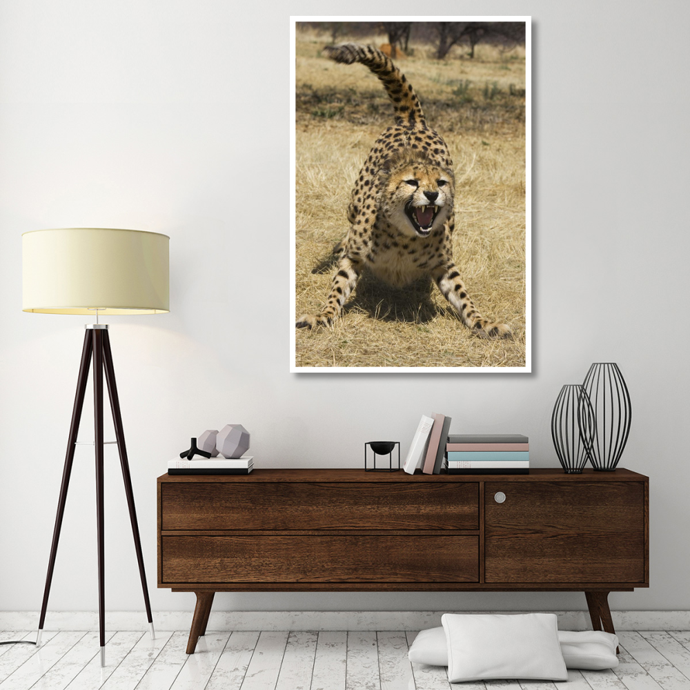 Cheetah hissing, Cheetah Conservation Fund, Namibia-Paper Art-42&quotx62"