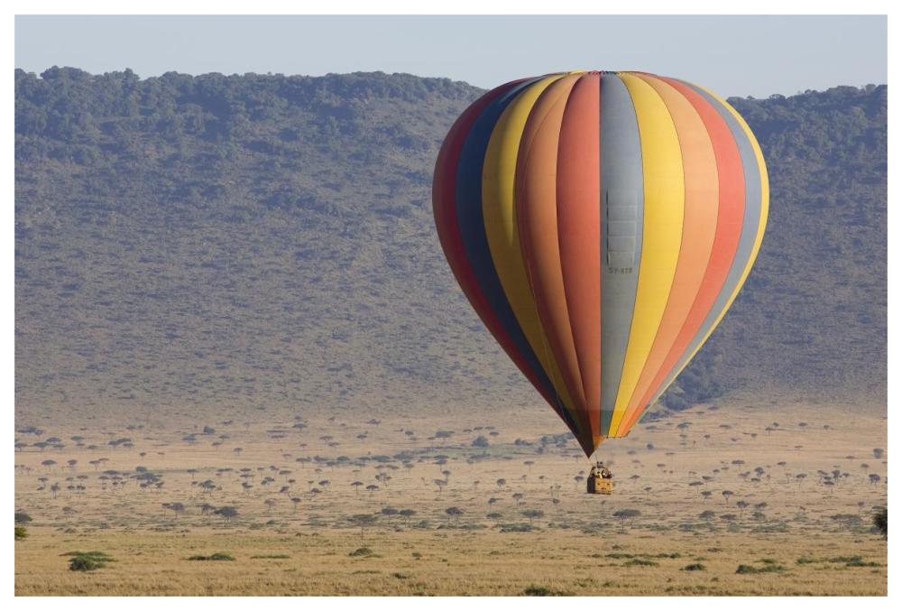 Hot air balloon over savanna, Masai Mara Triangle, Kenya-Paper Art-62"x42"