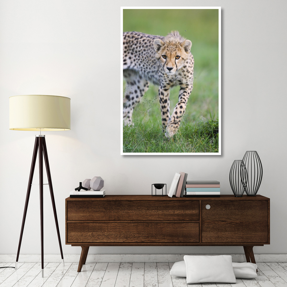 Cheetah 6 month old cub, Masai Mara National Reserve, Kenya-Paper Art-42&quotx62"