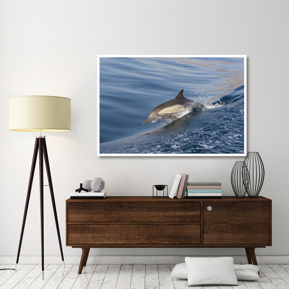 Long-beaked Common Dolphin porpoising, Baja California, Mexico-Paper Art-62&quotx42"