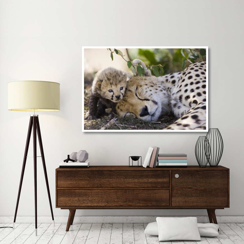 Cheetah mother and seven day old cub, Maasai Mara Reserve, Kenya-Paper Art-62&quotx42"