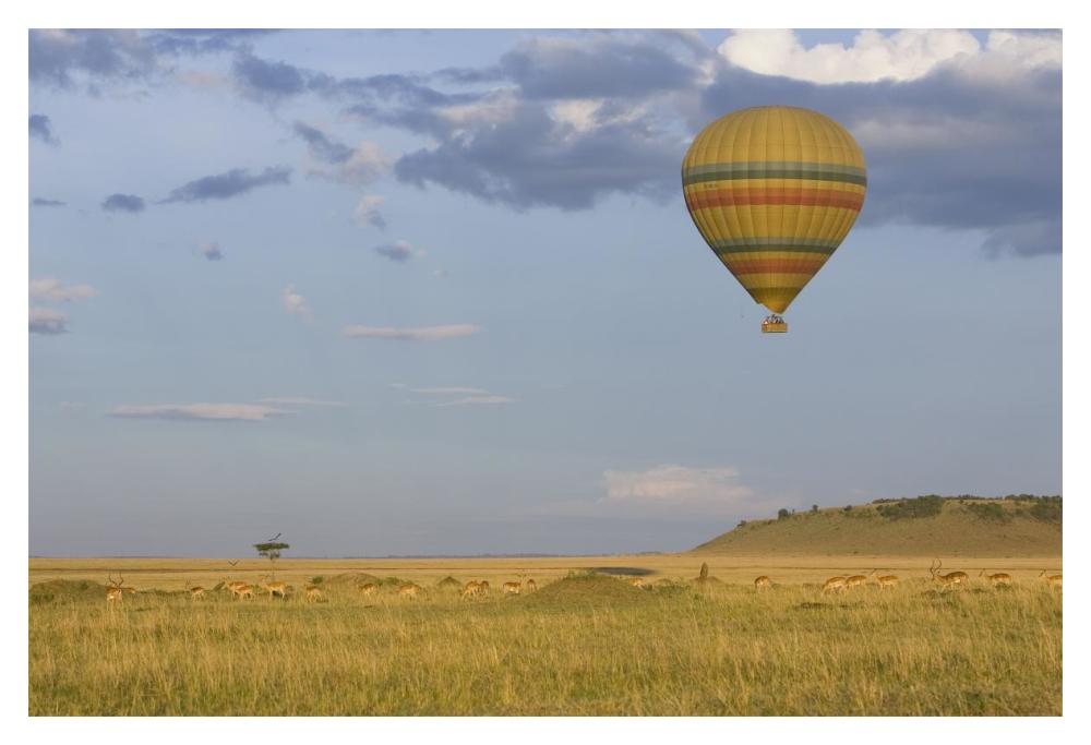 Hot air balloon flying over impala herd, Masai Mara Triangle, Kenya-Paper Art-20"x14"