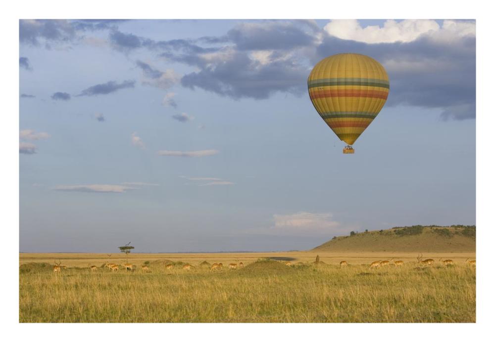Hot air balloon flying over impala herd, Masai Mara Triangle, Kenya-Paper Art-26"x18"