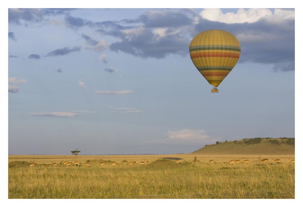 Hot air balloon flying over impala herd, Masai Mara Triangle, Kenya-Paper Art-38"x26"