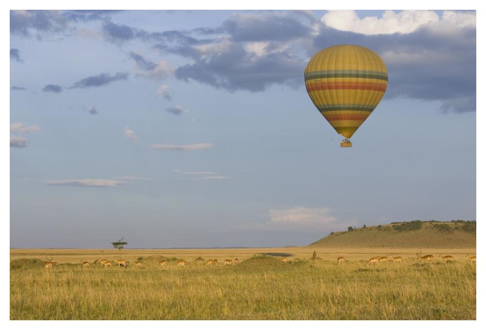 Hot air balloon flying over impala herd, Masai Mara Triangle, Kenya-Paper Art-50"x34"