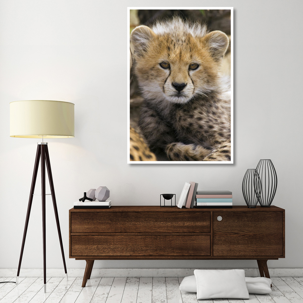 Cheetah ten to twelve week old cub portrait, Maasai Mara Reserve, Kenya-Paper Art-42&quotx62"