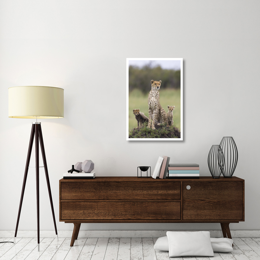 Cheetah mother and eight to nine week old cubs, Maasai Mara Reserve, Kenya-Paper Art-26&quotx38"