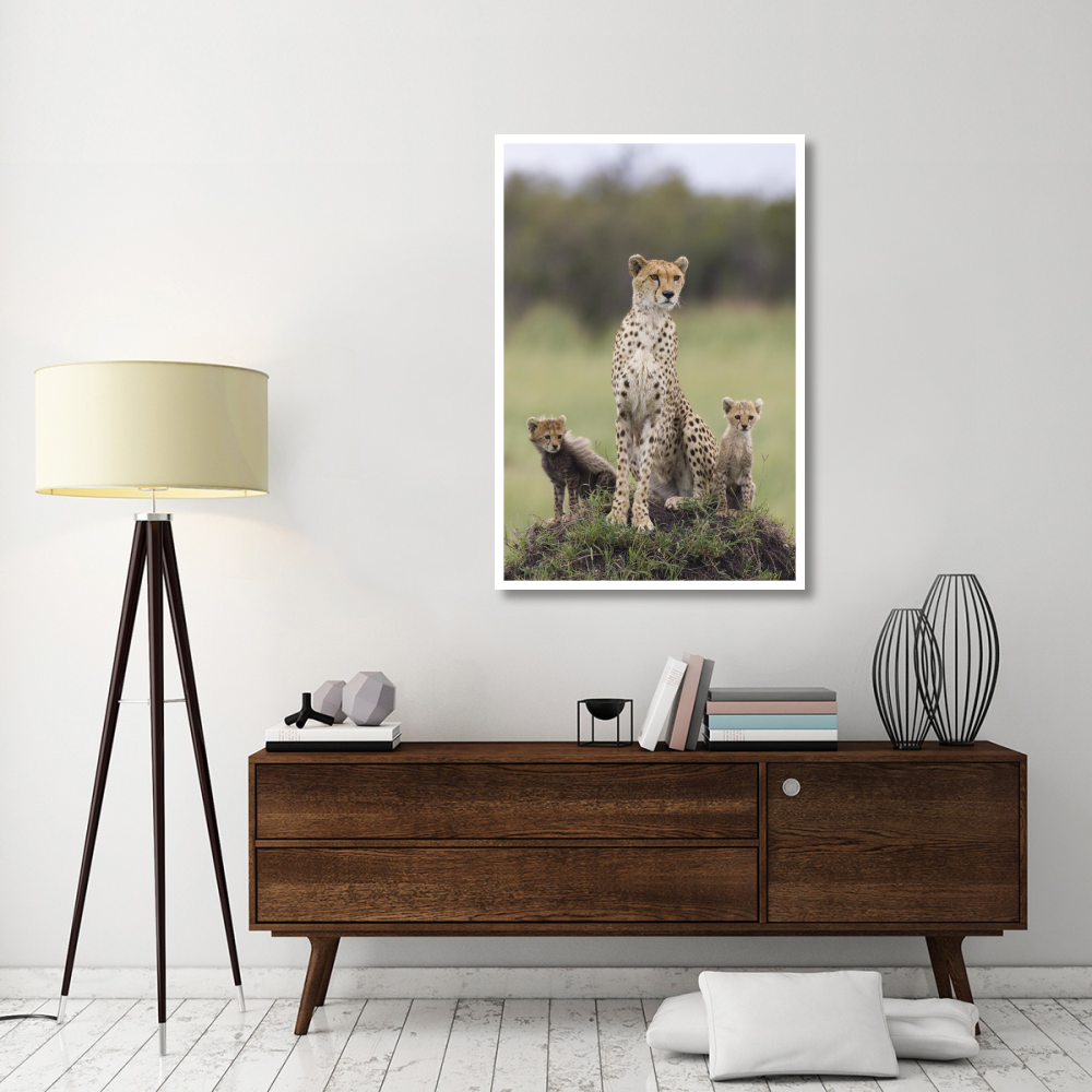 Cheetah mother and eight to nine week old cubs, Maasai Mara Reserve, Kenya-Paper Art-34&quotx50"