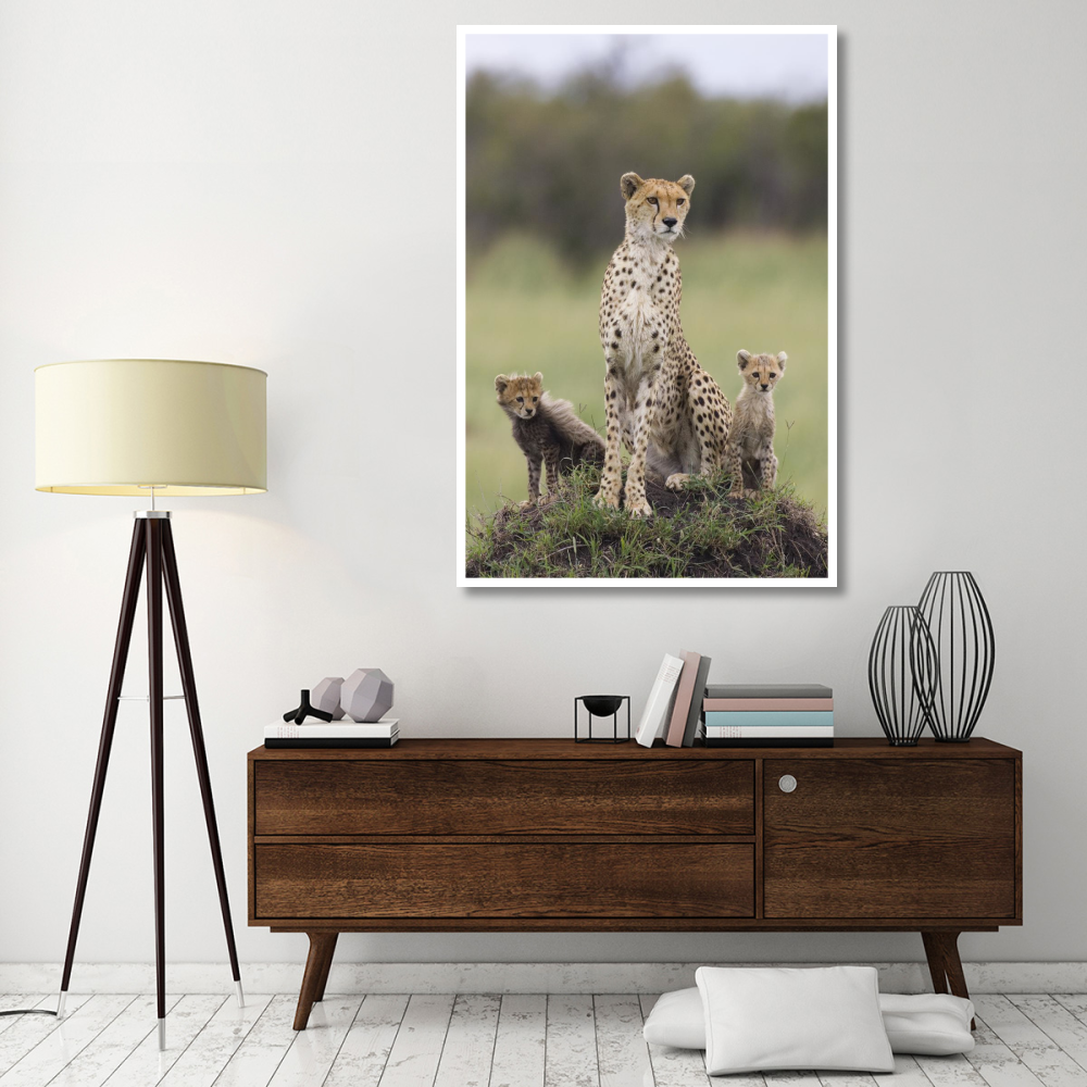 Cheetah mother and eight to nine week old cubs, Maasai Mara Reserve, Kenya-Paper Art-42&quotx62"