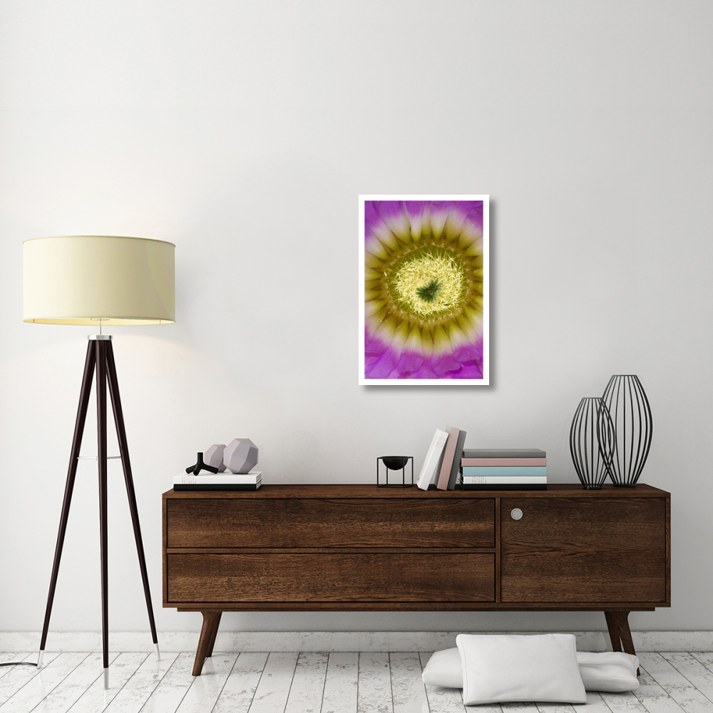 Lace Hedgehog Cactus flower detail showing pistil and stamens, Red Corral Ranch, Texas-Paper Art-22&quotx32"