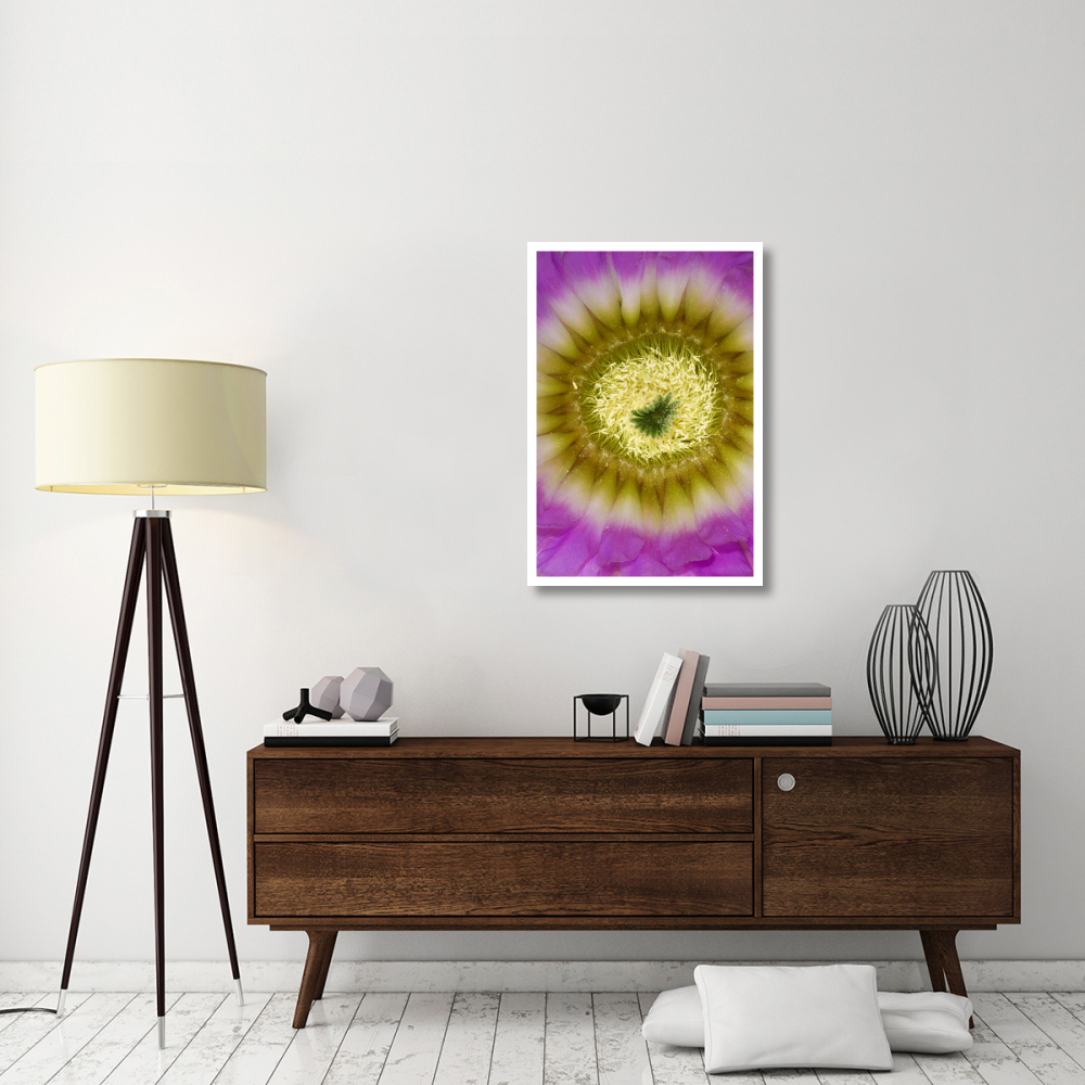 Lace Hedgehog Cactus flower detail showing pistil and stamens, Red Corral Ranch, Texas-Paper Art-26&quotx38"