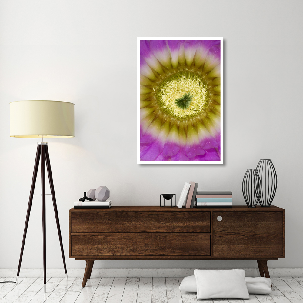 Lace Hedgehog Cactus flower detail showing pistil and stamens, Red Corral Ranch, Texas-Paper Art-34&quotx50"
