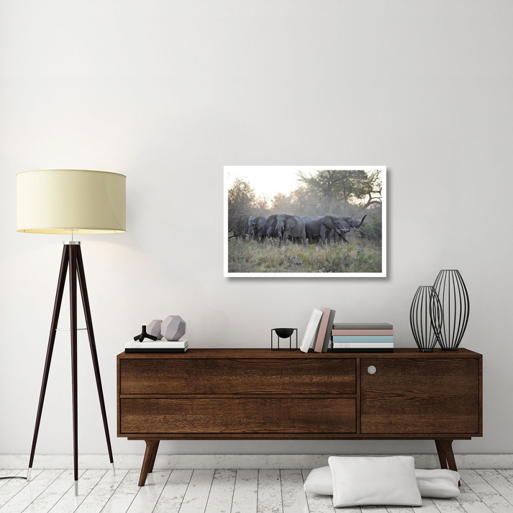 African Elephant upset herd gathering after smelling blood from wild dog kill, Okavango Delta, Botswana-Paper Art-38&quotx26"