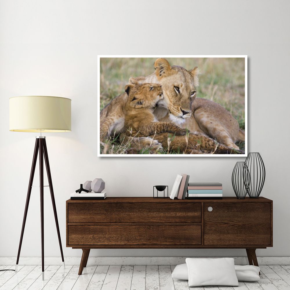 African Lion mother and young cubs, Masai Mara National Reserve, Kenya-Paper Art-62&quotx42"