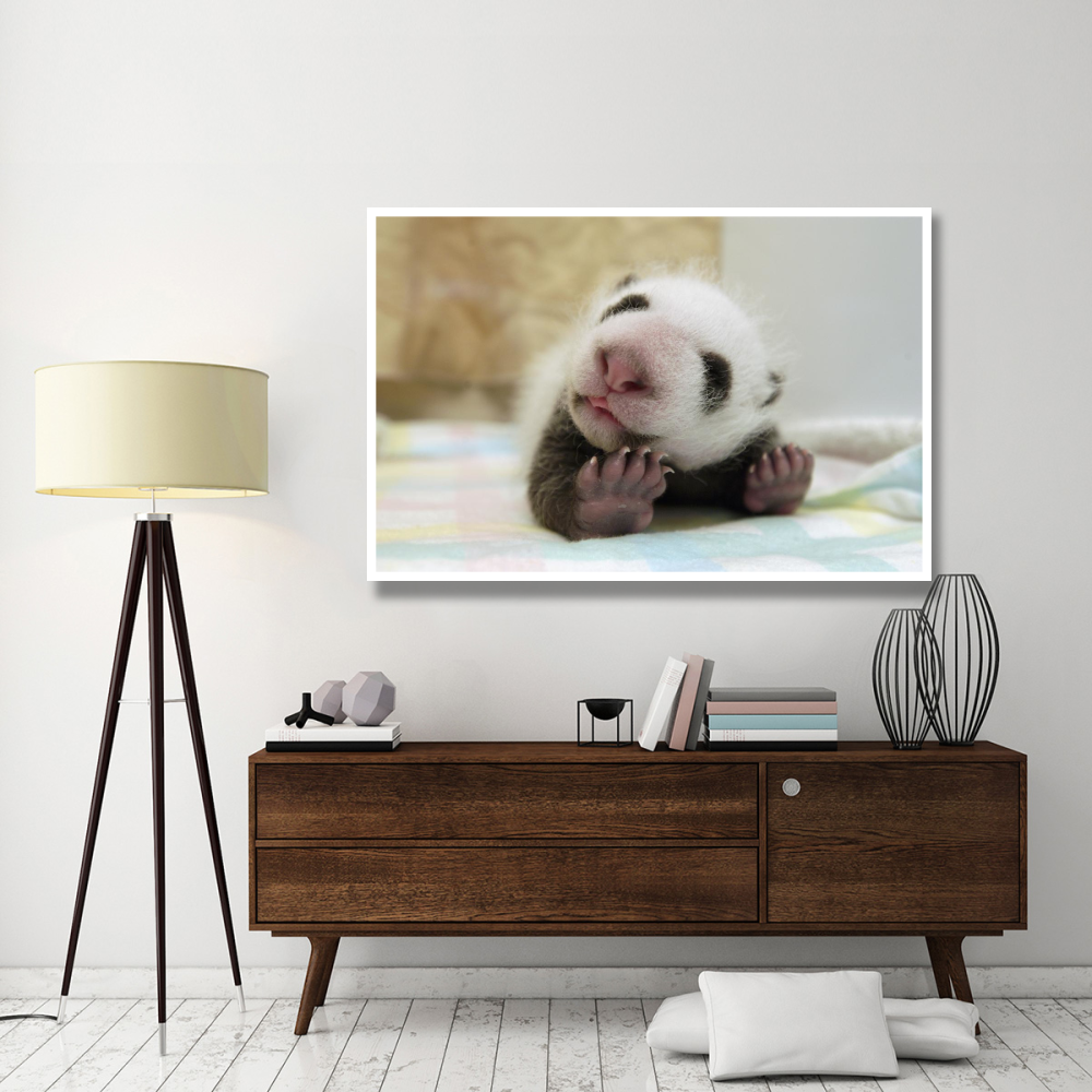Giant Panda baby stretching, Wolong Nature Reserve, China-Paper Art-62&quotx42"