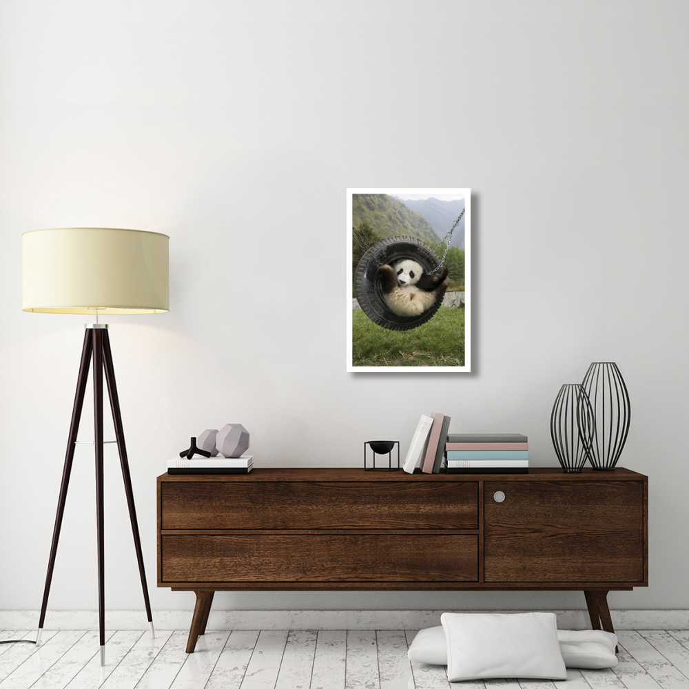 Giant Panda cub playing in tire swing, Wolong Nature Reserve, China-Paper Art-22&quotx32"