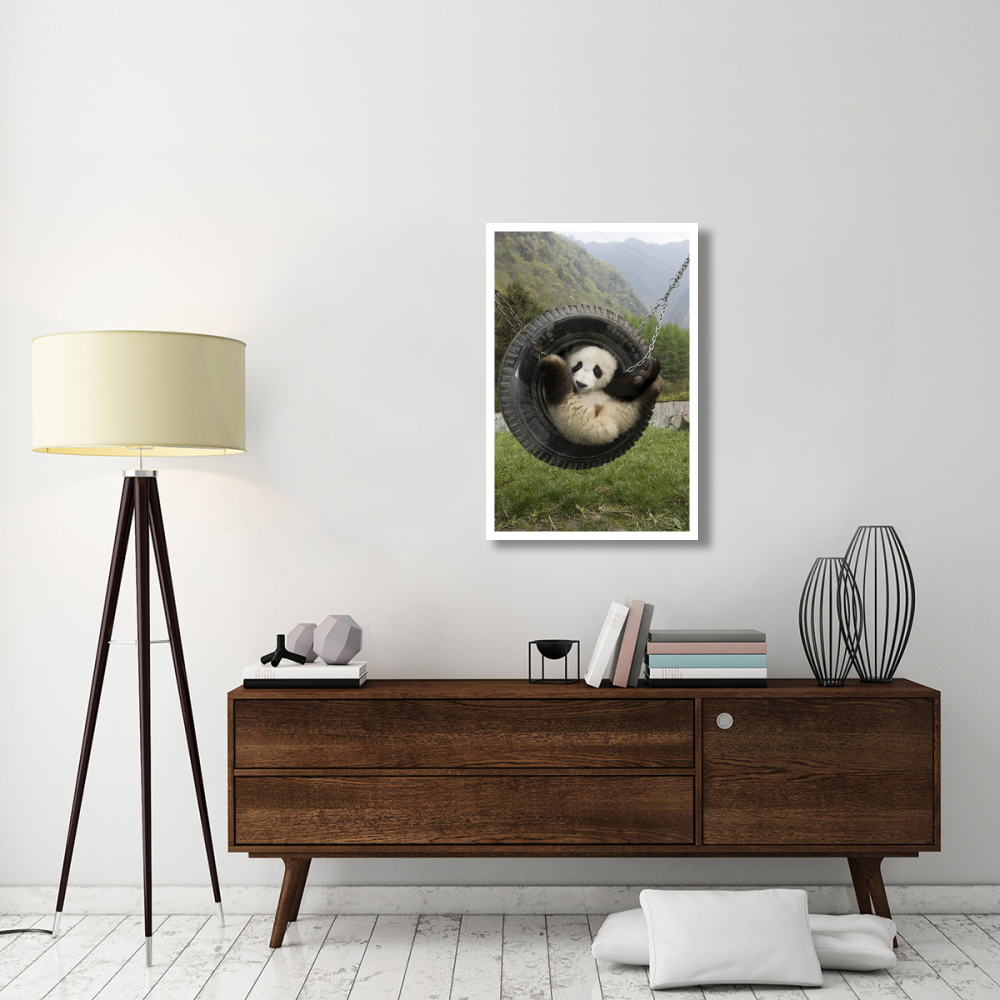 Giant Panda cub playing in tire swing, Wolong Nature Reserve, China-Paper Art-26&quotx38"
