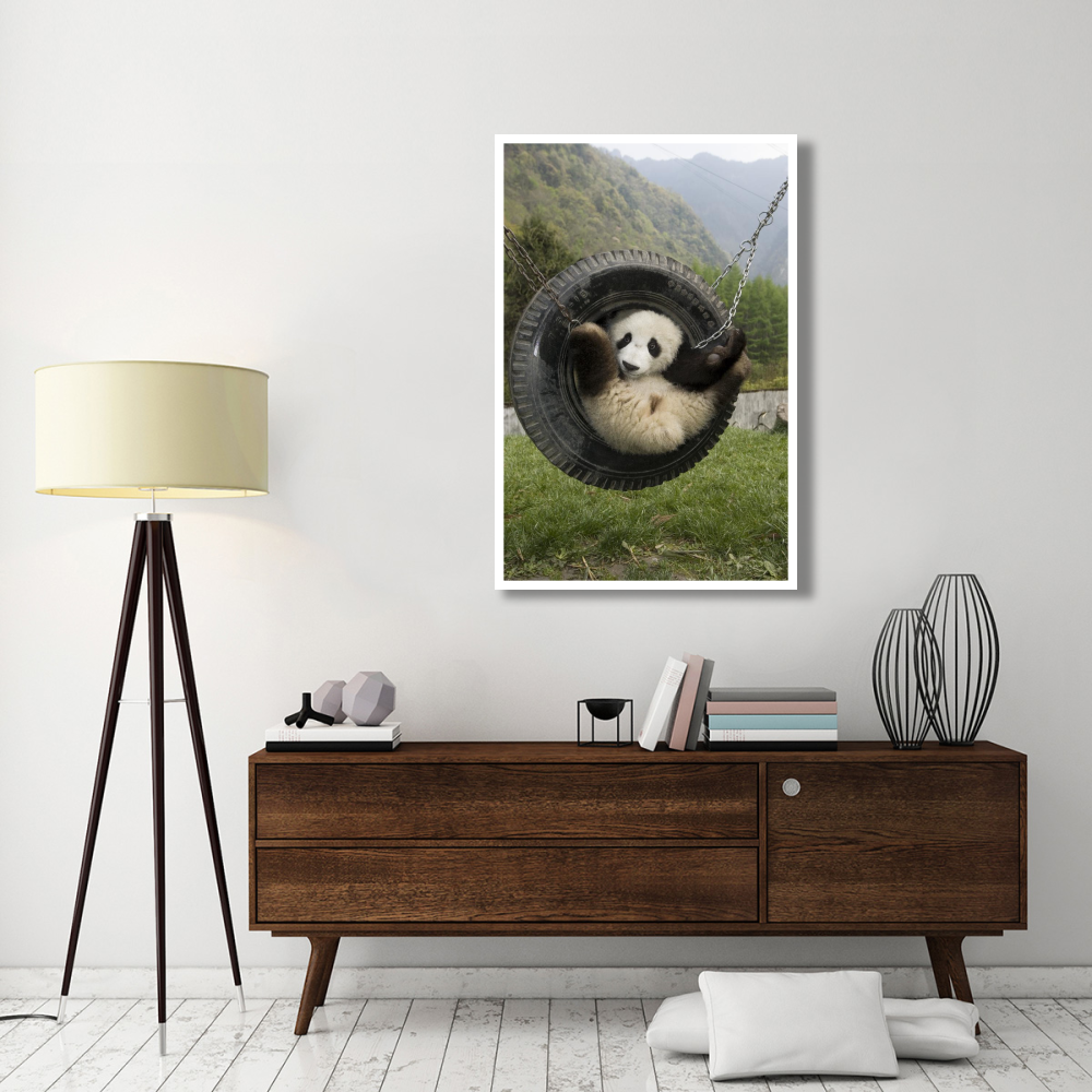 Giant Panda cub playing in tire swing, Wolong Nature Reserve, China-Paper Art-34&quotx50"