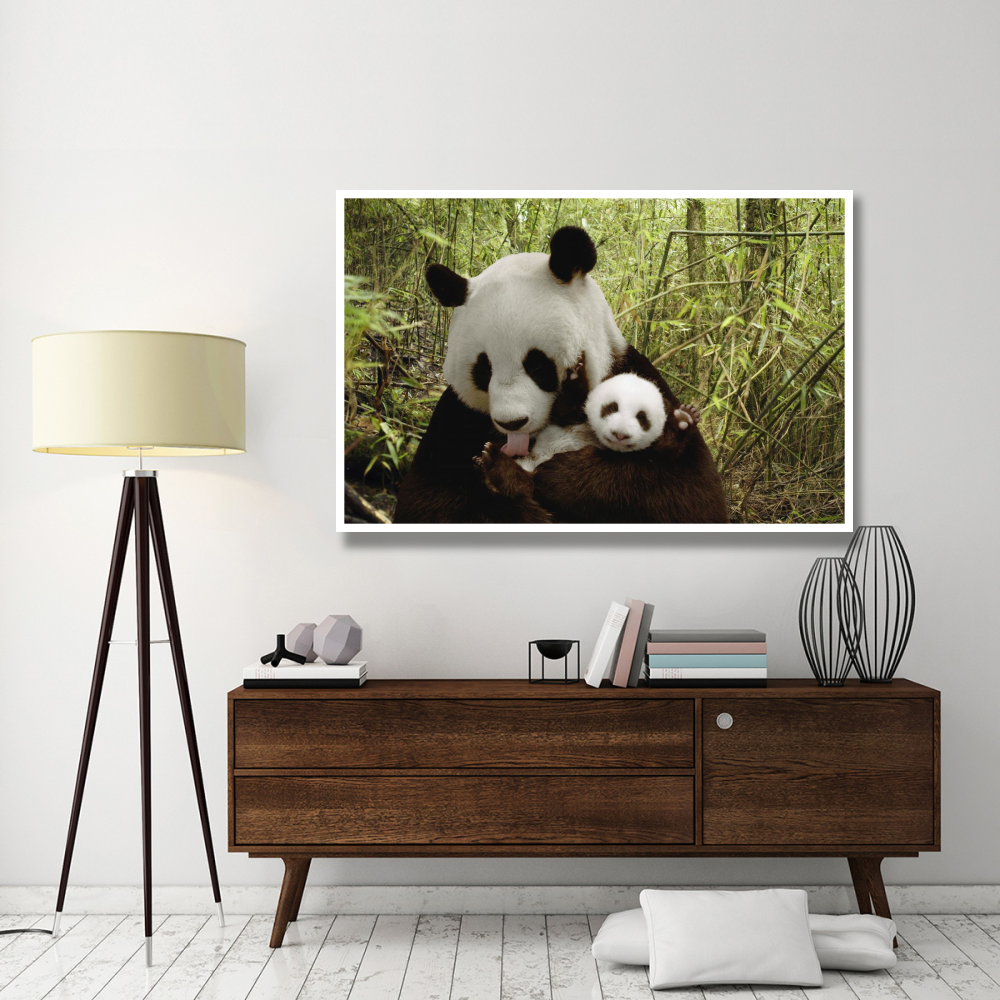 Giant Panda Gongzhu and cub in bamboo forest, Wolong Nature Reserve, China-Paper Art-62&quotx42"