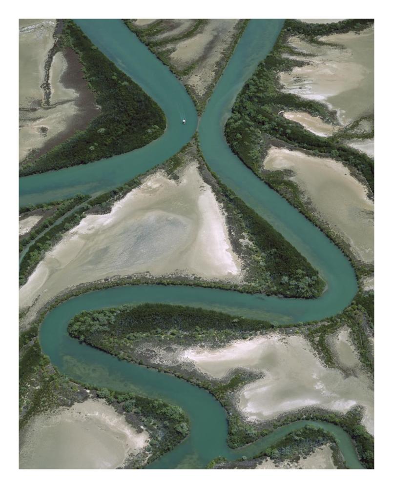 Meandering rivers, Gulf of Carpentaria, Northern Territory, Australia-Paper Art-22"x26"