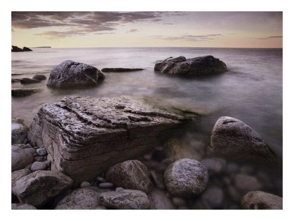 Log dump beach, Bruce Peninsula National Park, Ontario, Canada-Paper Art-26"x20"