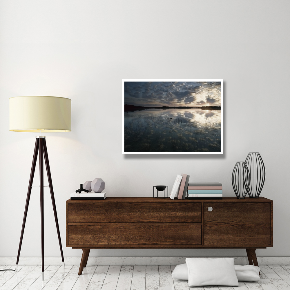American Alligator in Nine-mile Pond, Everglades National Park, Florida-Paper Art-42&quotx32"