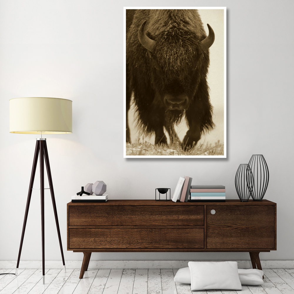 American Bison portrait in snow, North America-Paper Art-42&quotx62"