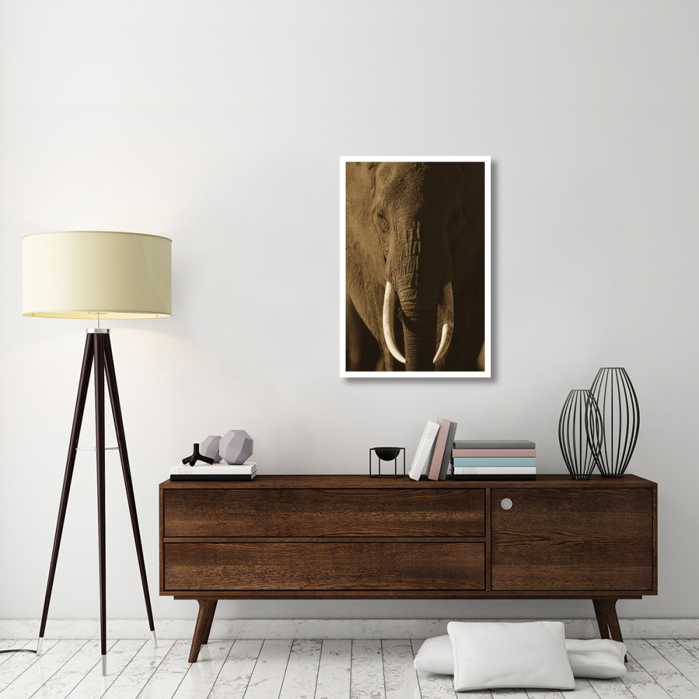 African Elephant male portrait with long tusks, Kenya-Paper Art-26&quotx38"