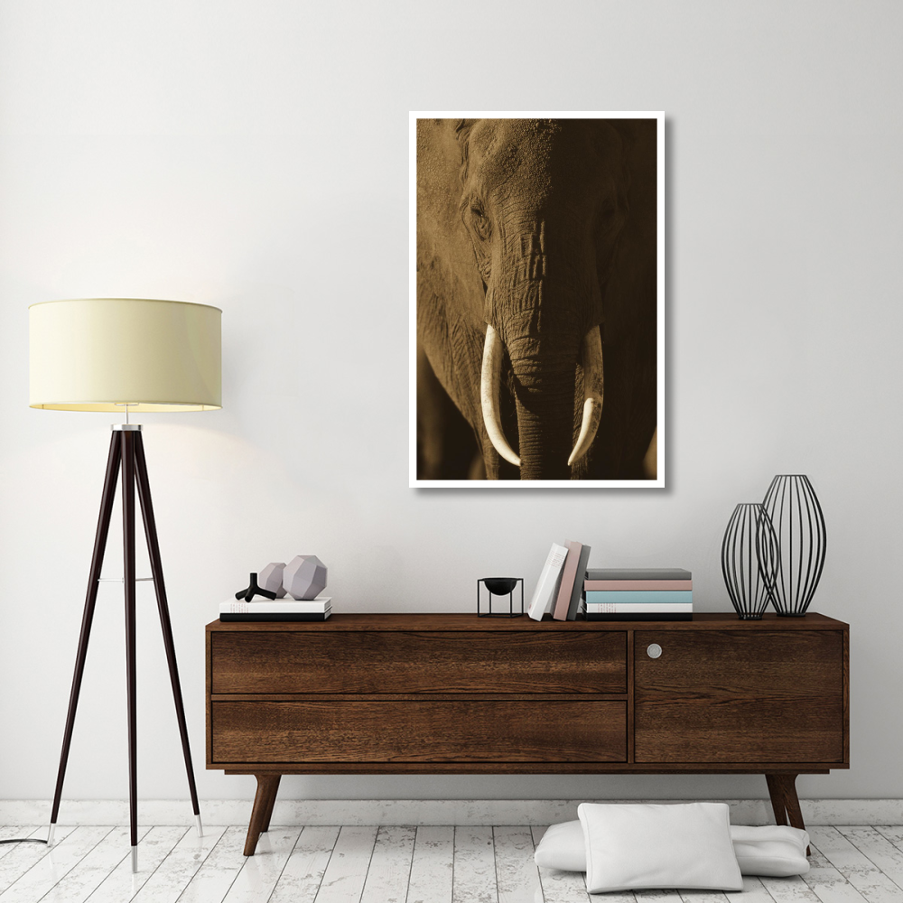 African Elephant male portrait with long tusks, Kenya-Paper Art-34&quotx50"