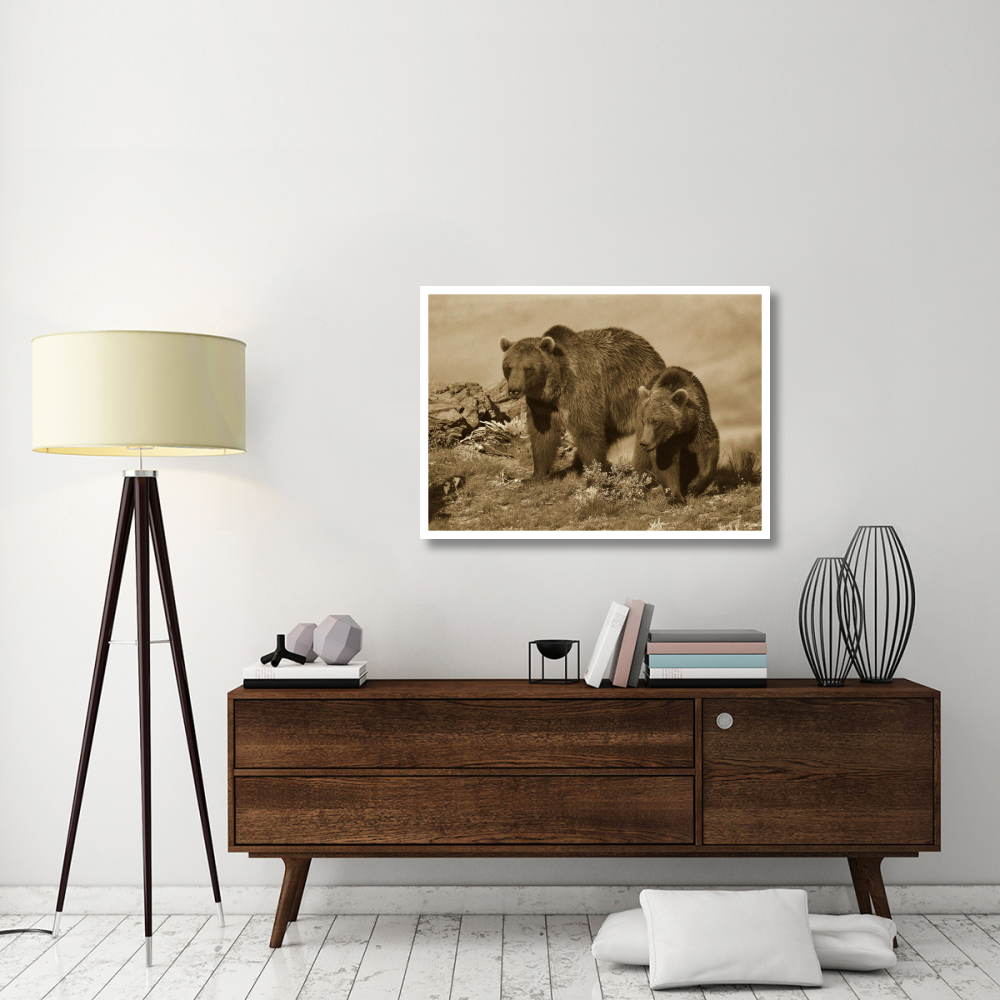 Grizzly Bear mother with a one year old cub, North America-Paper Art-42&quotx30.4"