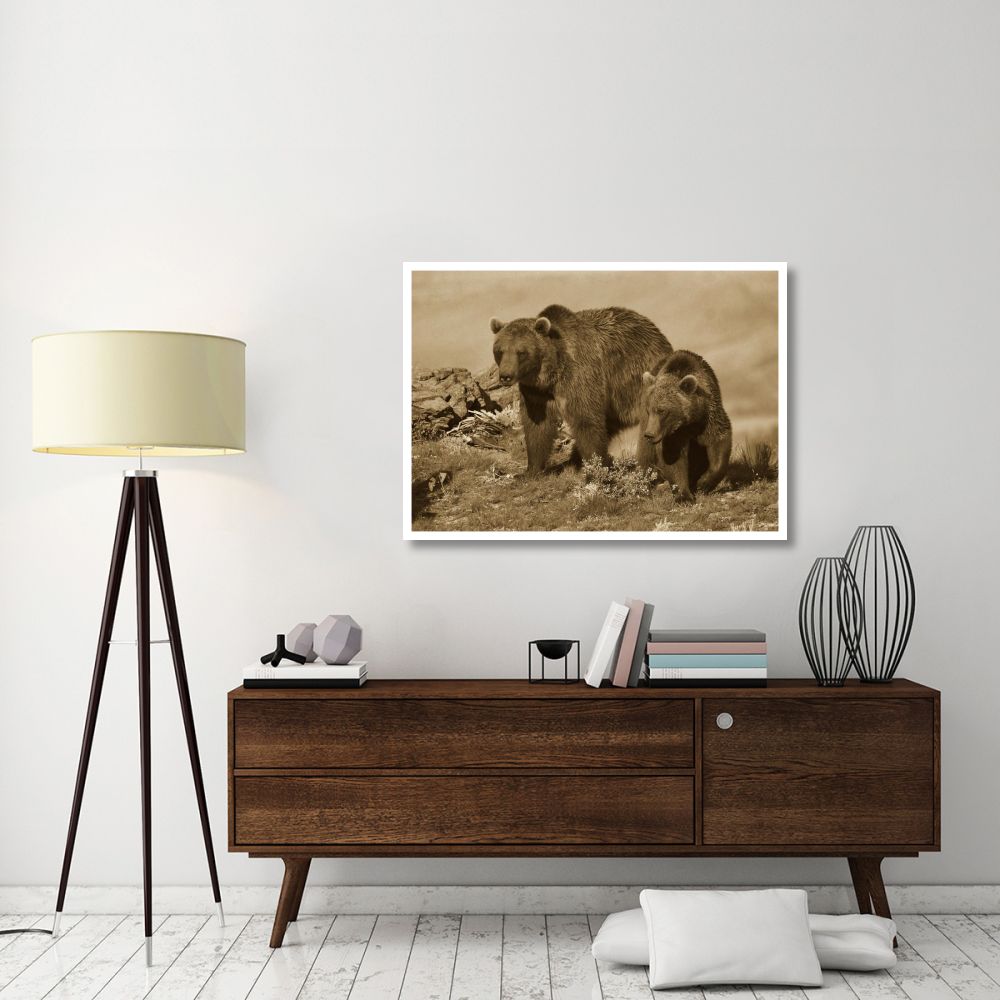 Grizzly Bear mother with a one year old cub, North America-Paper Art-46&quotx33.24"