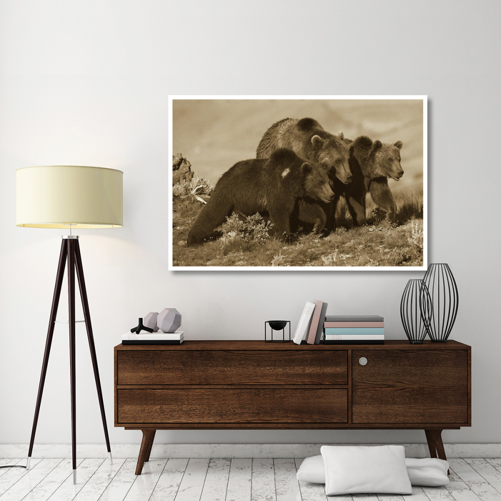 Grizzly Bear mother with two one year old cubs, North America-Paper Art-62&quotx42"