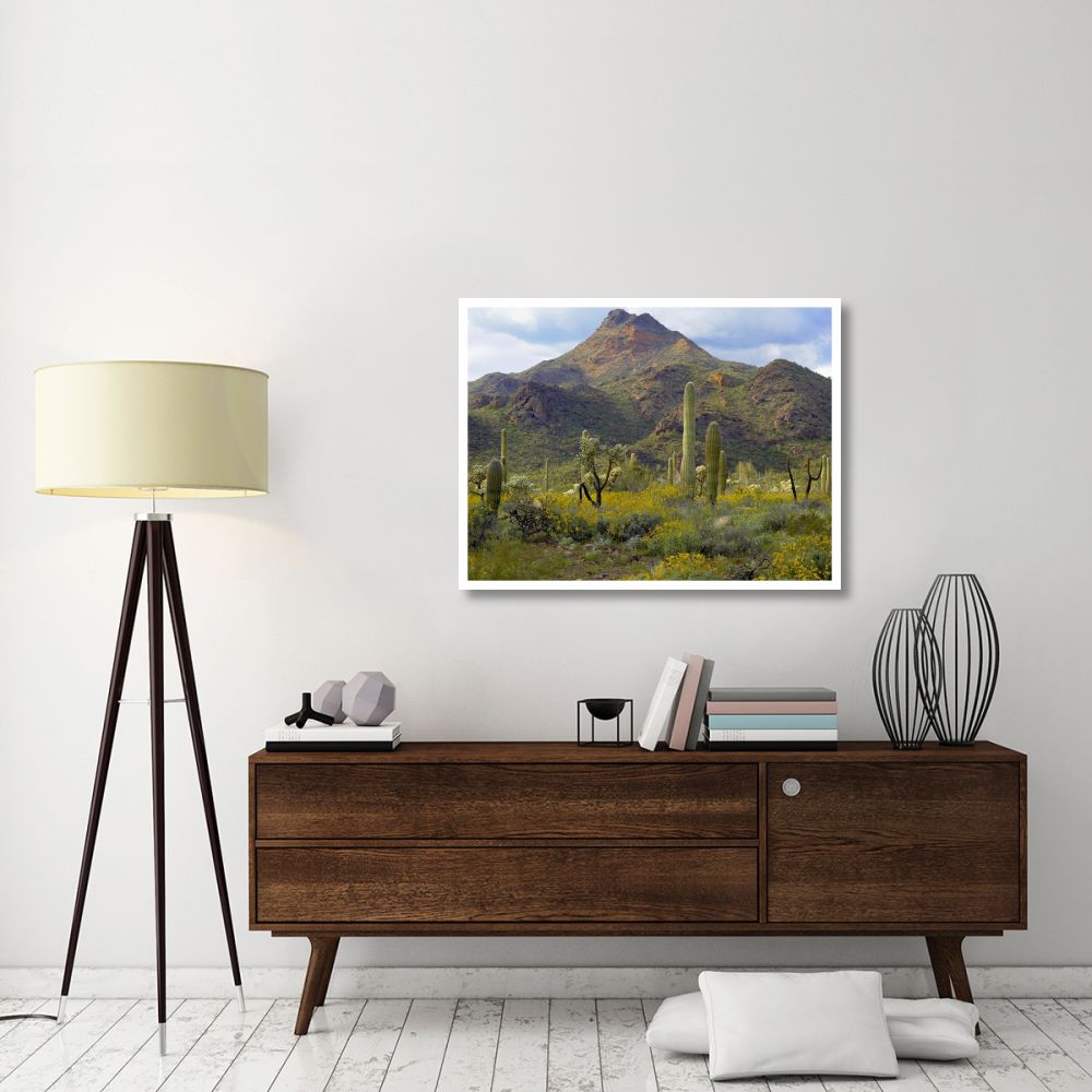 Saguaro and Teddybear Cholla amid flowering Lupine and California Brittlebush-Paper Art-42&quotx32"
