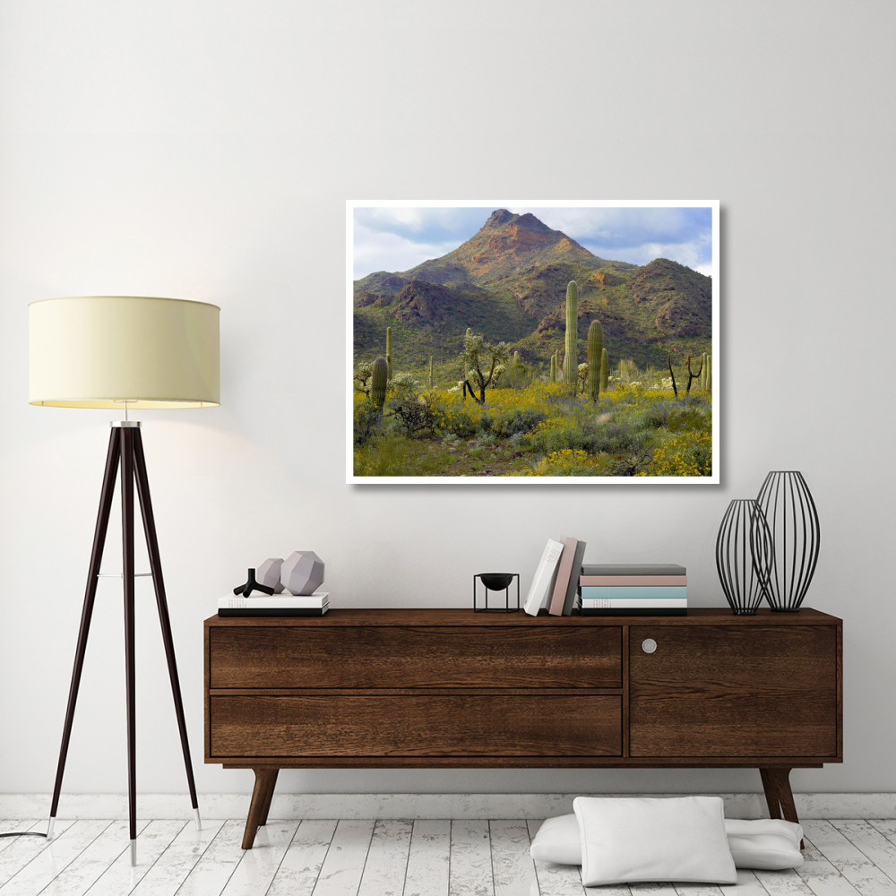 Saguaro and Teddybear Cholla amid flowering Lupine and California Brittlebush-Paper Art-50&quotx38"