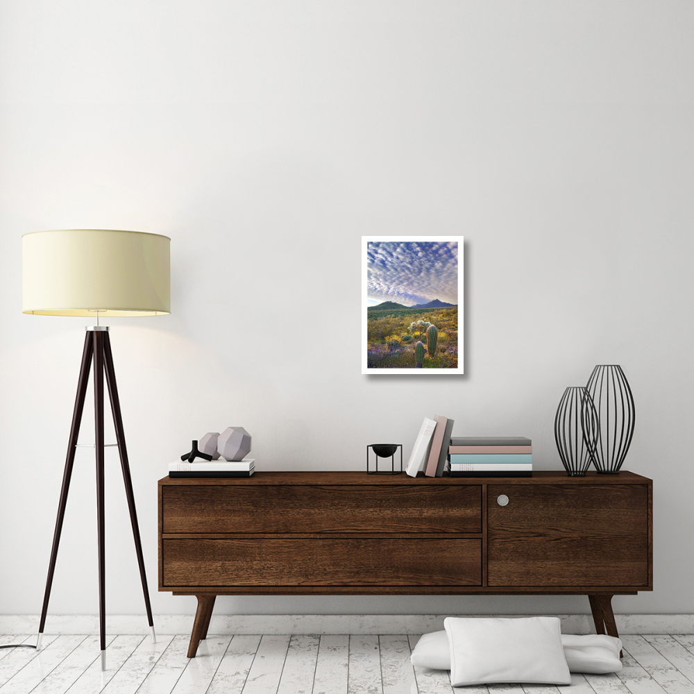 Saguaro and Teddybear Cholla amid flowering Lupine and California Brittlebush-Paper Art-17.62&quotx24"